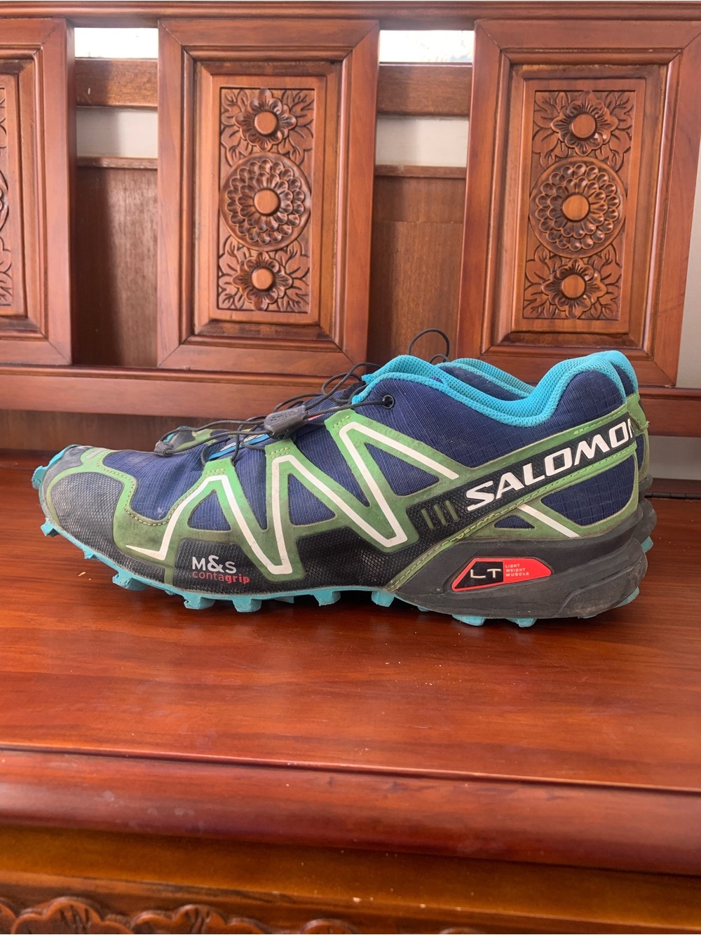 Salomon Men’s Trail Runner - Blue & Green